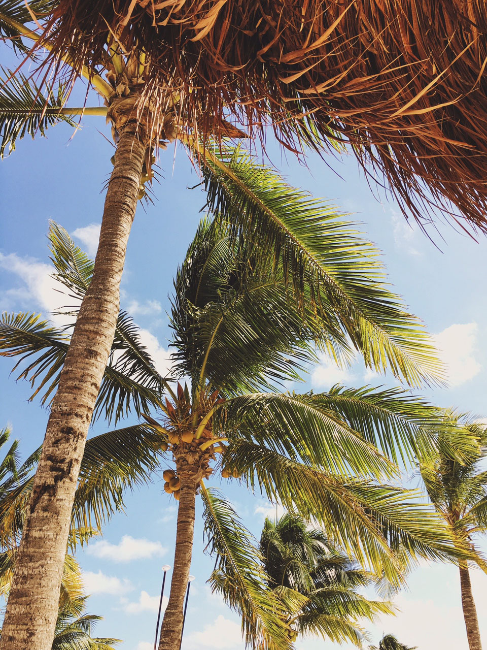 An Indoor Lady - Playa Mujeres | Resort Vacation - PLAYAMUJERES-012-ANINDOORLADY