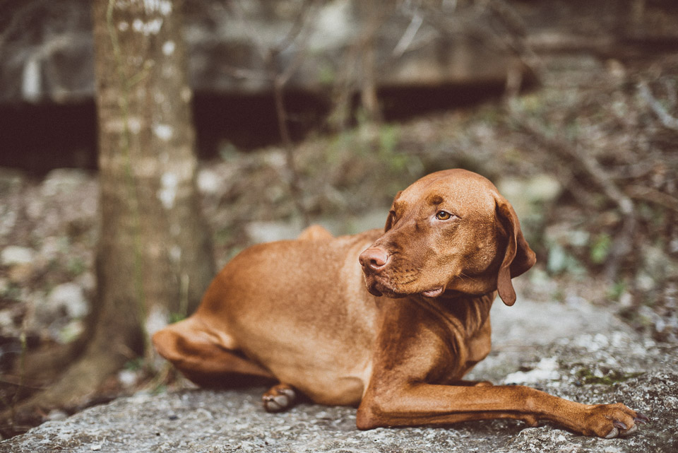 An Indoor Lady - Bull Creek | Laura M - LAURA-009-ANINDOORLADY