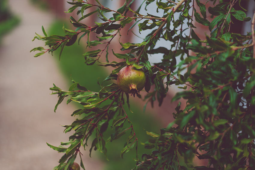 An Indoor Lady - A Few Random Around The Neighborhood - Photo by Erin Holsonback 20140927-walking-03