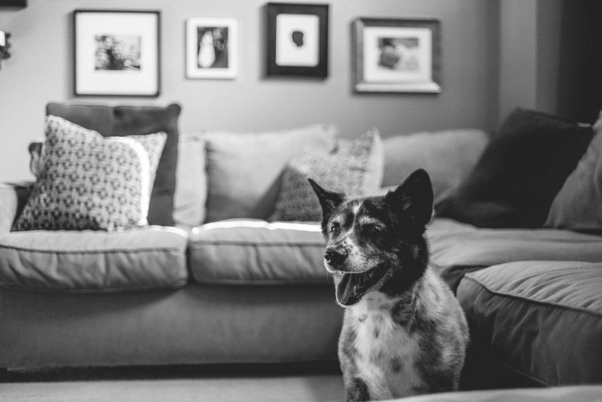 An Indoor Lady - At Home | Carol + Judd + Family - WILLMANN-001-ANINDOORLADY
