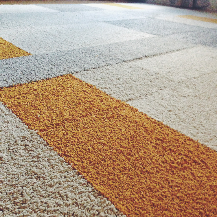 An Indoor Lady A Flor Area Rug In Our Living Room A Flor Area Rug In Our Living Room