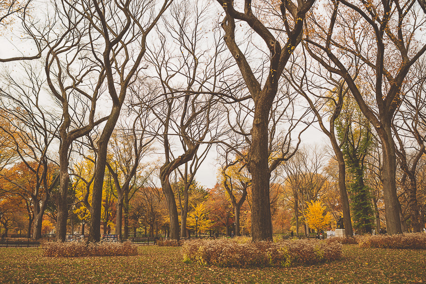 An Indoor Lady - New York City: Part 1 - 201411-nyc-018