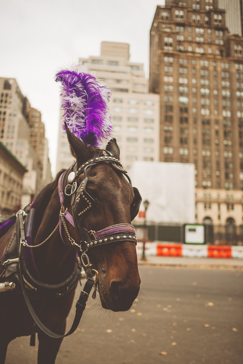An Indoor Lady - New York City: Part 1 - 201411-nyc-024