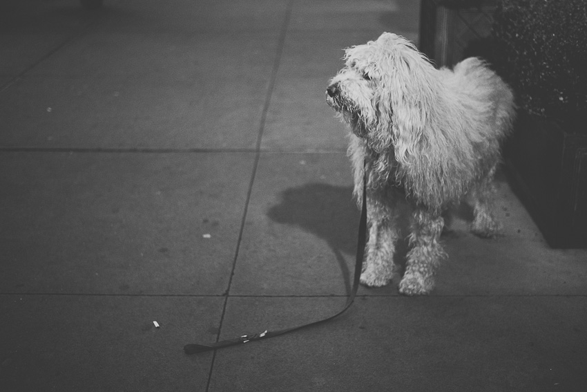 An Indoor Lady - New York City: Part 1 - 201411-nyc-056